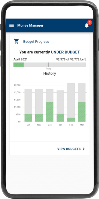 Mobile screen showing budget view in Money Manager