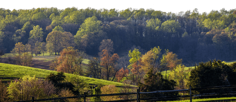 Rural landscape of empty land